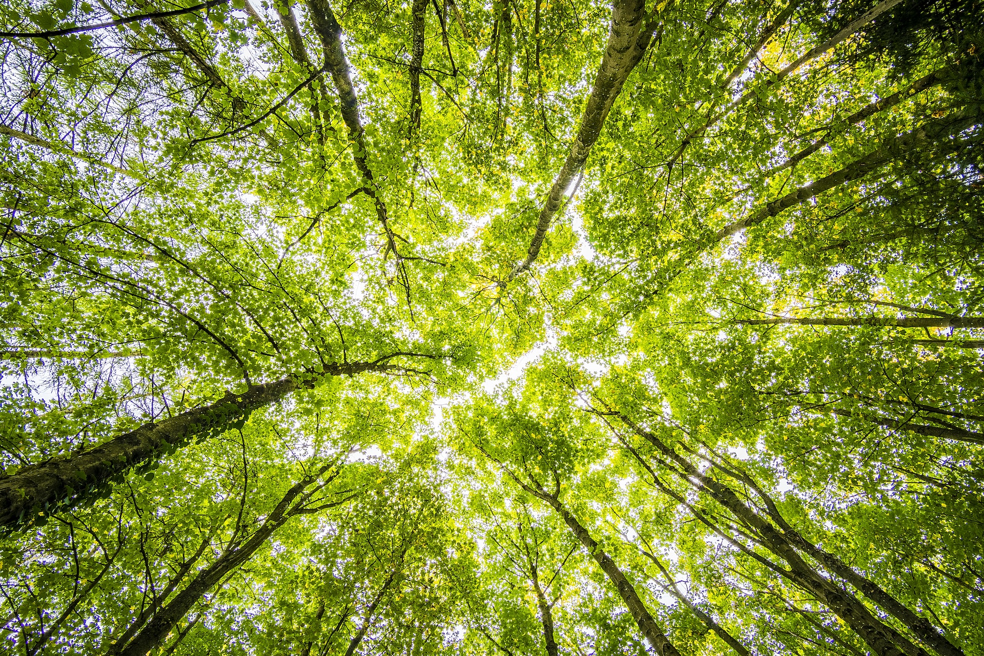 Gedsa Transformación ecológica